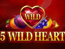 5 Wild Heart game screenshot